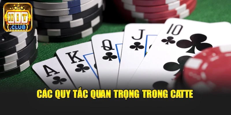 Các quy tắc quan trọng trong Catte
