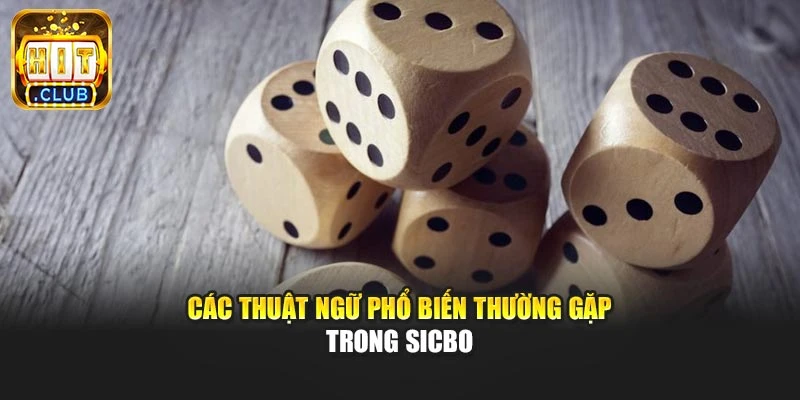Các thuật ngữ phổ biến thường gặp trong Sicbo