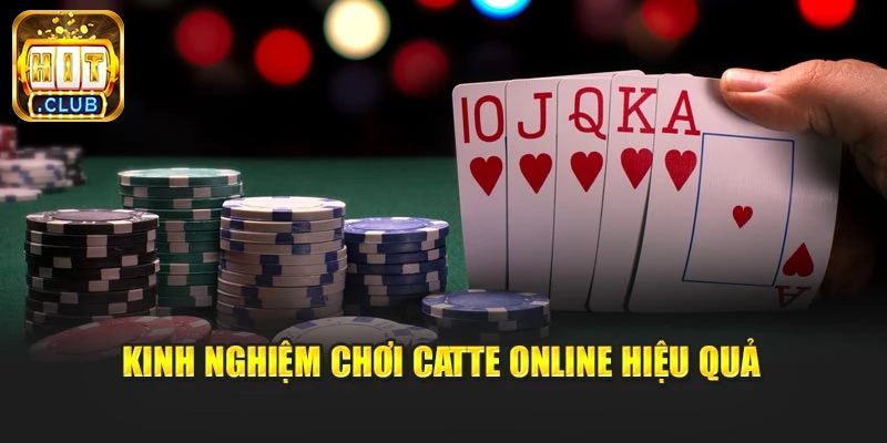 Kinh nghiệm chơi Catte Online hiệu quả