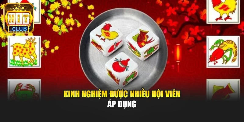 Kinh nghiệm được nhiều hội viên áp dụng